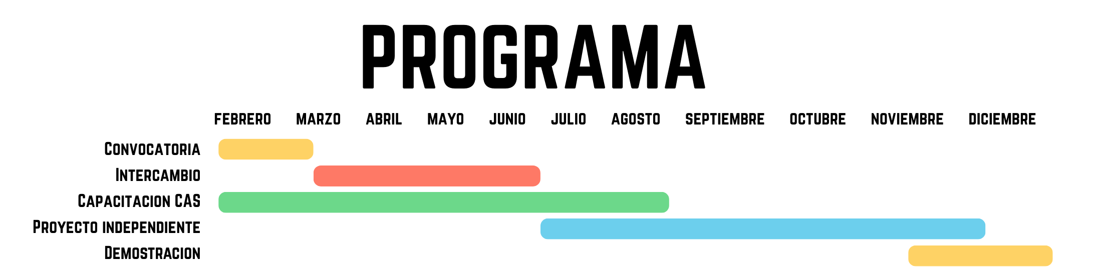 Esquema del programa formativo